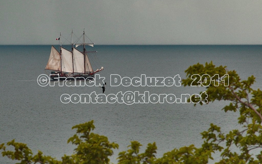 BATEAU EN CARAIBES